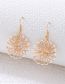 Fashion Gold Alloy Wire Floral Earrings