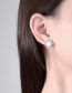 Fashion White Gold Copper Zirconium Pearl Stud Earrings