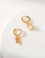 Fashion Gold Copper Gold Plated Box Earrings