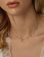 Fashion Steel Color Stainless Steel Gold Plated Pearl Necklace