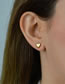 Fashion Rose Gold Titanium Steel Heart Stud Earrings
