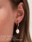 Fashion Gold Titanium Pearl Earrings