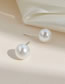Fashion Silver Geometric Pearl Stud Earrings