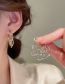 Fashion Ear Buckles - Silver Geometric Cutout Cobweb Flower Stud Earrings