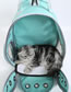 Fashion Macaron Blue Pvc Transparent Space Capsule Portable Pet Backpack