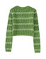 Fashion Green Textured Knit Crewneck Sweater