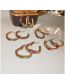 Fashion Gold (circled Large Zircon) Titanium Diamond Round Earrings