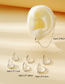 Fashion Silver Brass Zirconium Geometric Earrings Set