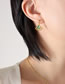Fashion Steel Earrings Titanium Steel Diamond Laser Ginkgo Leaf Earrings