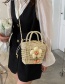 Fashion Small Flower Khaki Straw Floral Bracelet Crossbody Bag