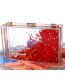 Fashion Color Double Sided Liquid Quicksand Acrylic Clear Clutch