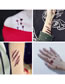 Fashion Ws-243 (2 Pieces) Waterproof Halloween Horror Wound Scar Face Disposable Tattoo Sticker
