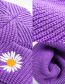 Fashion Purple Daisy-embroidered Knitted Sweater Hat