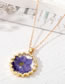 Fashion 7# Two Petals Resin Dried Flower Drop Glue Flower Necklace