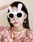 Fashion Bearded Bunny Glasses Abs Bearded Bunny Sunglasses
