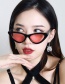 Fashion Transparent Frame Green Sheet Resin Cat Eye Triangle Sunglasses