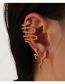 Fashion Gold Alloy Snake Earring Set