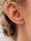 Fashion February - Violet (rose Gold) Titanium Steel Round Zirconium Stud Earrings