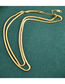 Fashion Gold Titanium Steel Gold Plated Snake Bone Chain Double Necklace