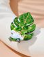 Fashion Leaves Cartoon Acrylic Leaf Frog Brooch