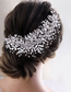 Fashion Hair Band + Earrings Hp349 Alloy Rhinestone Braided Flower Headband Earrings Set