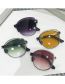 Fashion Portuguese Purple Ac Gradient Large Frame Sunglasses
