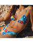 Fashion Red Polyester Printed Two-piece Swimsuit Three-piece Set