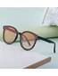 Fashion C1 Tac Cat Eye Rice Stud Large Frame Sunglasses