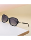 Fashion 4# Pc Diamond Large Frame Sunglasses