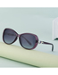 Fashion 5# Tac Large Frame Sunglasses