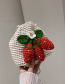 Fashion Off White Wool Crochet Strawberry Messenger Bag