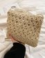 Fashion Khaki Cotton Straw Large Capacity Messenger Bag
