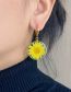 Fashion Gold Alloy Geometric Dried Flower Circular Ear Rings Earrings