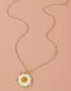 Fashion Yellow Alloy Geometric Dried Flower Circular Necklace