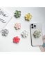 Fashion Flower Smedy-morandi Flash Powder-white Acrylic Flower Mobile Phone Airbag Frame