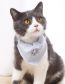Fashion Trend Brown Cotton Three-dimensional Flower Plaid Cat Collar
