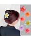 Fashion Gradient Flowers - Jelly Custard Gradient Flower Grabber