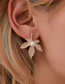 Fashion Gold Alloy Diamond Geometric Love Leaf Pearl Long Tassel Earring Set