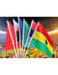 Fashion 20*28 Set 32 ??countries With Rods (2) Polyester World Cup Hand Waving Flag