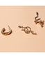 Fashion Gold Alloy Geometric Snake Earring Set