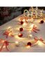 Fashion Pine Cone Mushroom 2 Meters 20 Lights Copper Wire Pine Cone Christmas Lights (live)