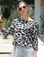 Fashion Brown Polyester Leopard-print Dolman-sleeve Knitted Top