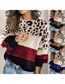 Fashion Blue Polyester Knit Leopard Panel Crewneck Sweater