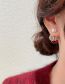 Fashion Red Plastic Diamond Geometric Stud Earrings