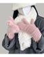 Fashion Beige Fleece Label Knit Touch Screen Gloves