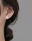 Fashion Ipl Rose Stud Earrings Ipl Rose Stud Earrings