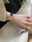 Fashion Black Belt+rose Gold Black Gold Small Square Network With Watch (charging)