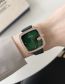 Fashion Green Full Drill Square Dial Belt Watch (charged)