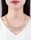 Fashion Platinum Copper Inlaid Zirconia Geometric Prong Chain Leaf Necklace