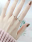 Fashion Rose Gold-2mm Inner And Outer Balls Titanium Geometric Ring